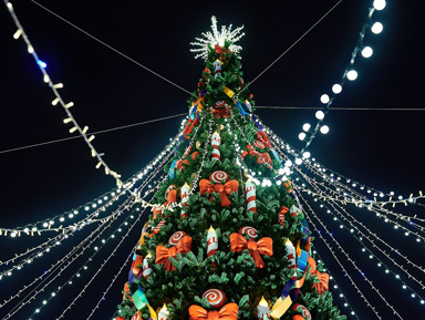 Самое аутентичное рождественское путешествие по Санкт-Петербургу – групповая экскурсия