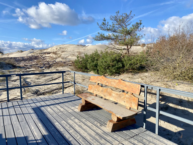 Куршская коса: от Танцующего леса до дюны Эфа – групповая экскурсия