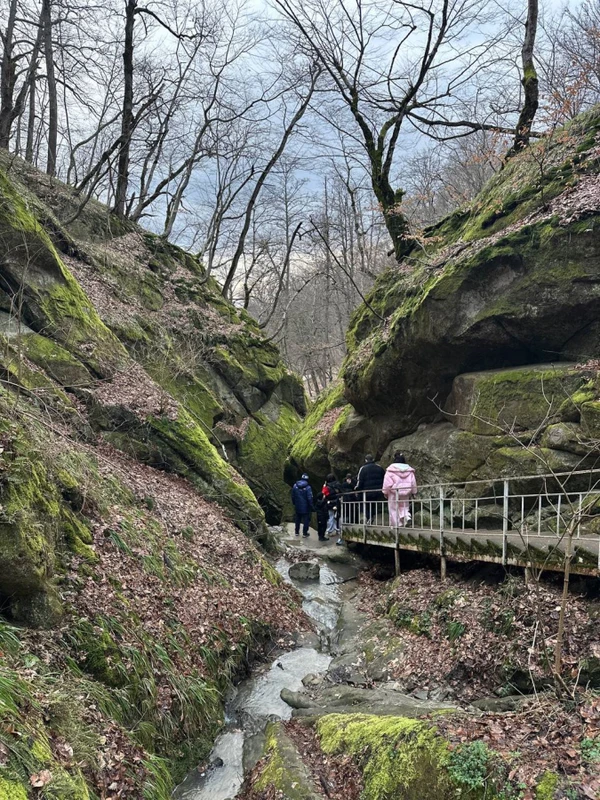 Горячий Ключ: день у целебных источников (из Краснодара) – групповая экскурсия