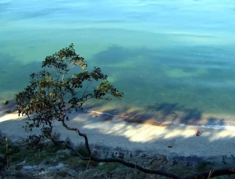 По приморским городам — из Зеленоградска – групповая экскурсия