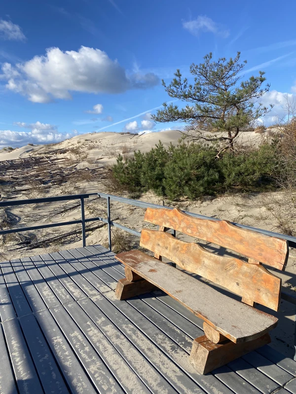 Куршская коса + Зеленоградск + фабрика «Шаакен Дорф» – групповая экскурсия