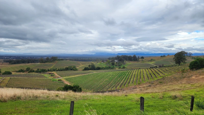 Из Сиднея в долину Хантер — старейший винный регион Австралии – индивидуальная экскурсия