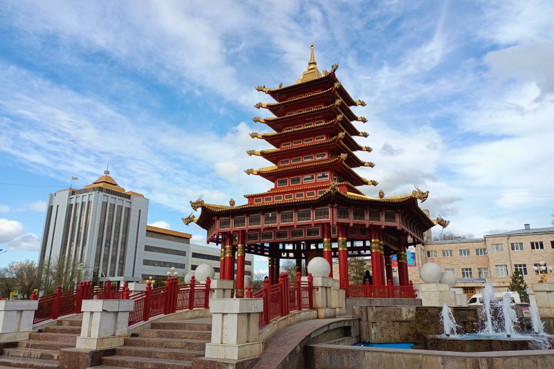 Цветущие тюльпаны и буддийские святыни: из Волгограда в Элисту – авторский тур