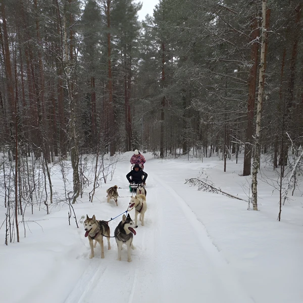 Дыхание Севера: водопад Кивач, хаски, олени и лошади (из Петрозаводска) – индивидуальная экскурсия