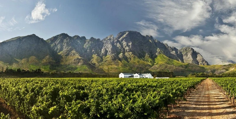 Истина в бокале: индивидуальный винный тур с профессиональным сомелье – авторский тур