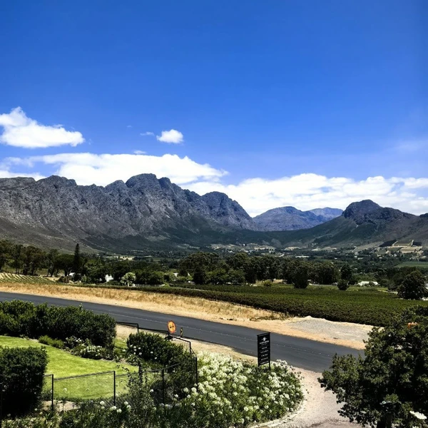 Франшхук — наследие Франции в сердце Южной Африки – индивидуальная экскурсия