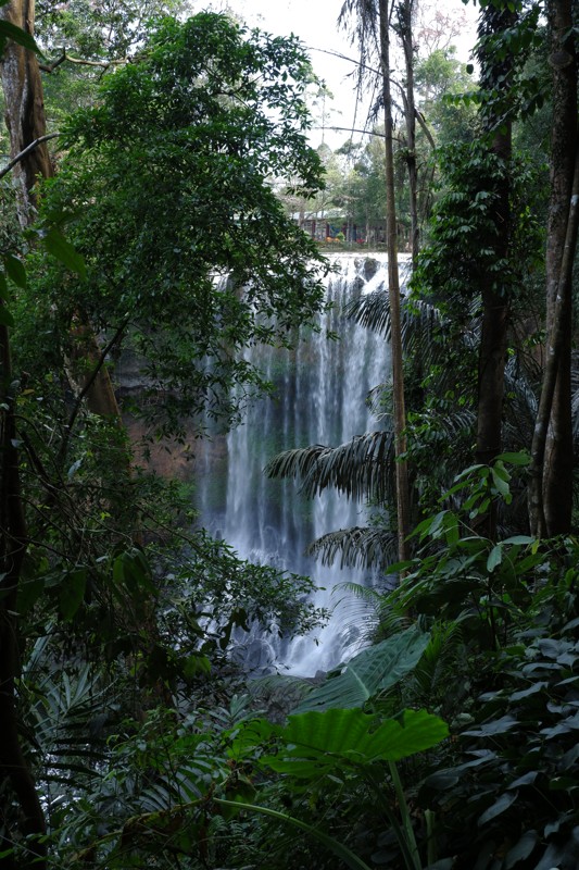 Из Муйне — к самому высокому водопаду южного Вьетнама – индивидуальная экскурсия