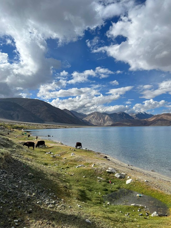Большое путешествие в Королевство Ладакх: 12 дней в Малом Тибете и день с кочевыми племенами – авторский тур