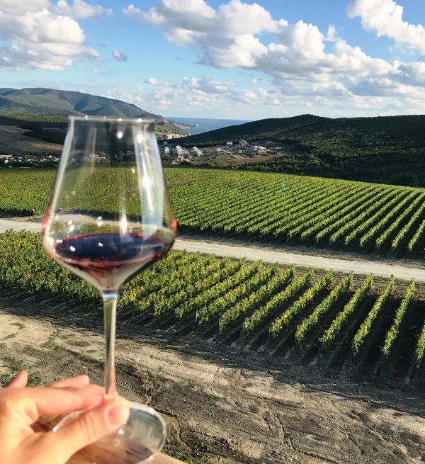 На одной широте с виноградниками Италии: по винодельням Краснодарского края – авторский тур