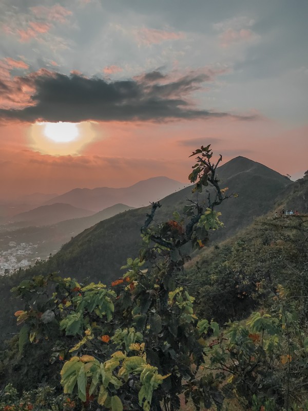 6 регионов Вьетнама: перезагрузка в джунглях, горах и у моря – авторский тур
