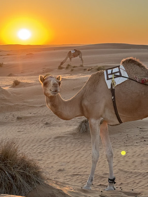 Пески и оазисы Омана: пустыня Вахиба и Вади Бани Халид (из Маската) – групповая экскурсия