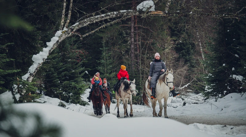 Всё включено в Архызе: тур в мини-группе с прогулками верхом и на квадроциклах – авторский тур