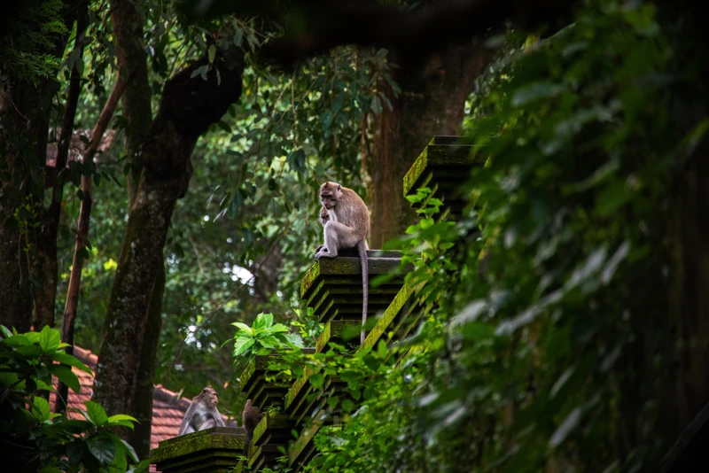 Это красивое, красивое Бали – индивидуальная экскурсия