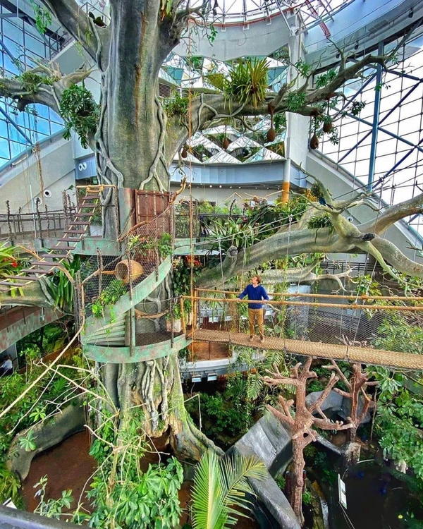 Трансфер в Dubai Safari Park и тропический лес Green Planet – индивидуальная экскурсия