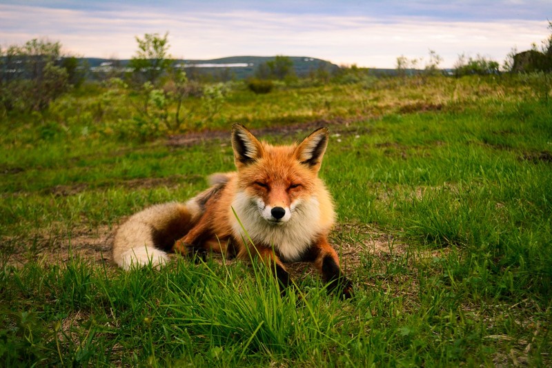 Экстремальная экспедиция на вездеходах: 1000 км вдоль Баренцева и Белого морей (всё включено) – авторский тур