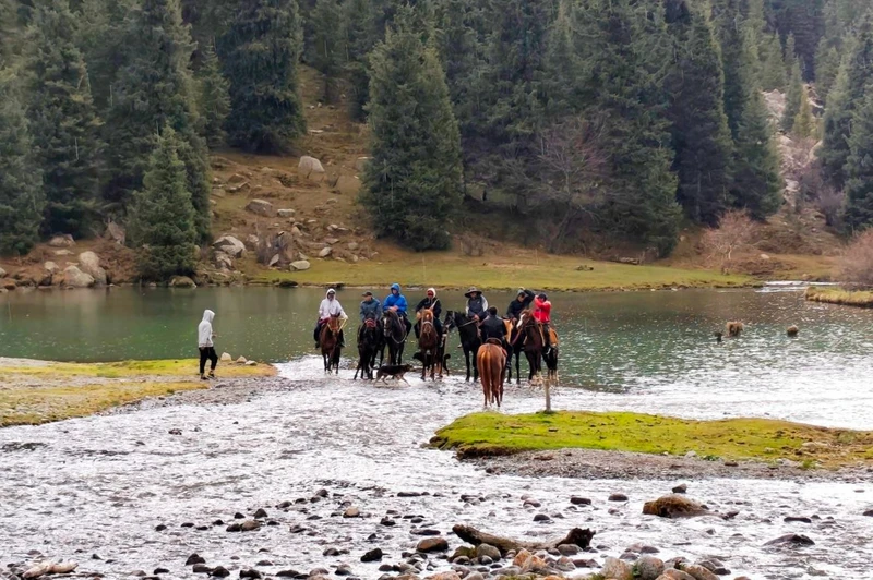 Конный тур по природным локациям Кыргызстана для начинающих наездников в мини-группе – авторский тур