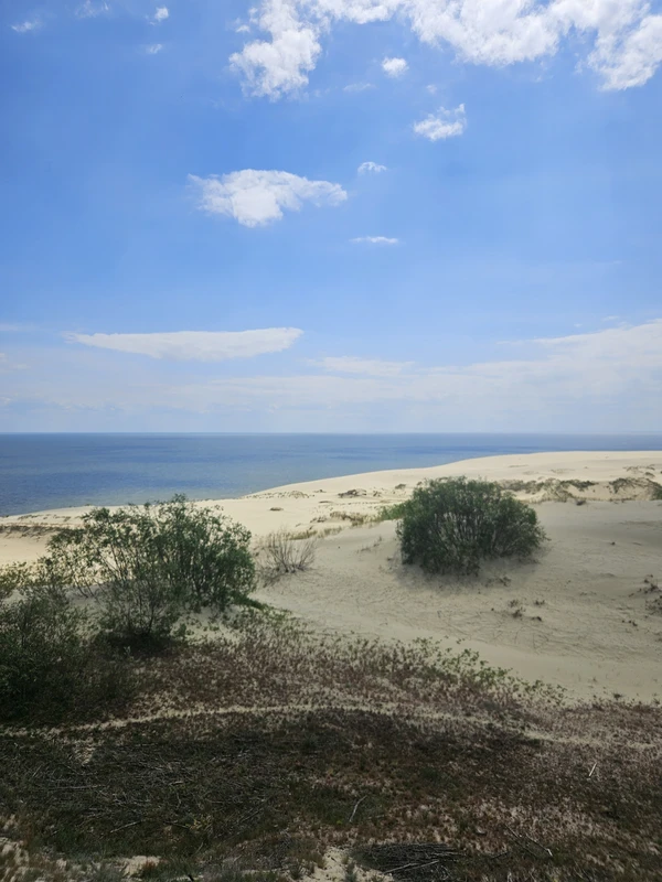 Индивидуальный тур в Калининград: Балтийск, Светлогорск, Зеленоградск и Куршская коса – авторский тур