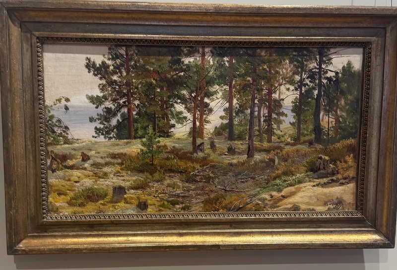 «Иван Шишкин»: ретроспектива в корпусе Бенуа – индивидуальная экскурсия