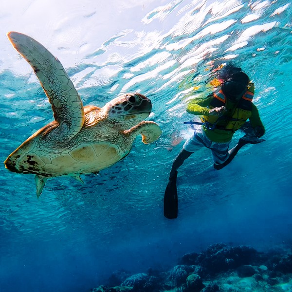 Морская прогулка на частной лодке по островам Гили + снорклинг с черепахами – индивидуальная экскурсия