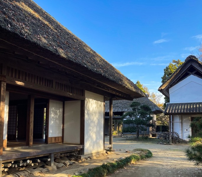 Музей эпохи Эдо под открытым небом – индивидуальная экскурсия