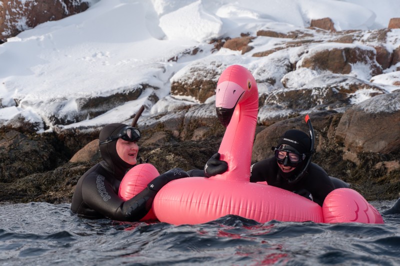 Тур-приключение в Териберку: снорклинг в Северном Ледовитом океане, киты и северное сияние – авторский тур