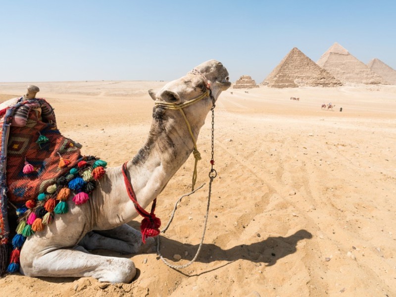 Тайны пирамид Саккары, Дахшура и Гизы – индивидуальная экскурсия