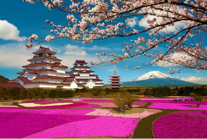 Палитра Японии: тур-знакомство со Страной восходящего солнца – авторский тур
