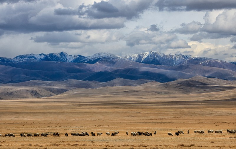 В окружении Саян: тур по Аршану и Монголии – авторский тур