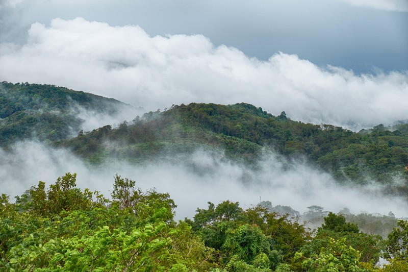 Затерянный Пхукет: треккинг по тропическим джунглям – индивидуальная экскурсия