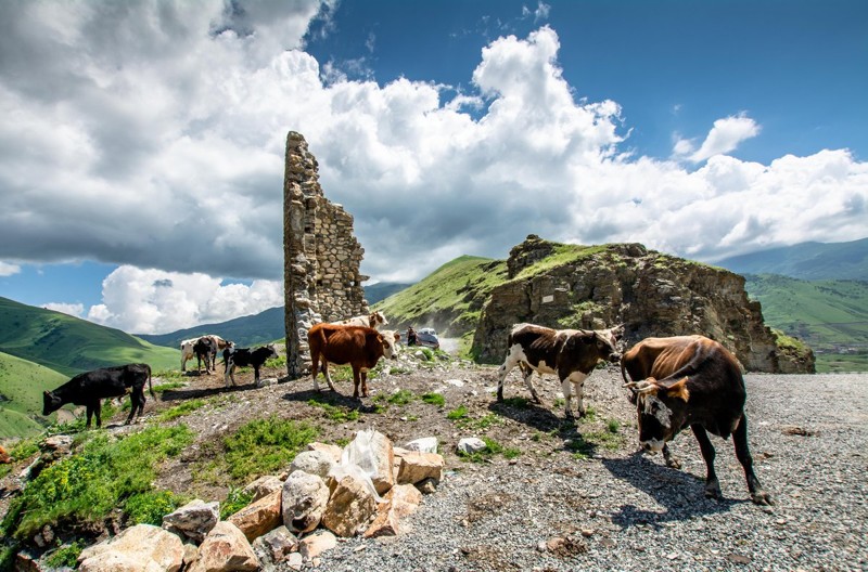 Горный край: природа и наследие Северной Осетии – авторский тур