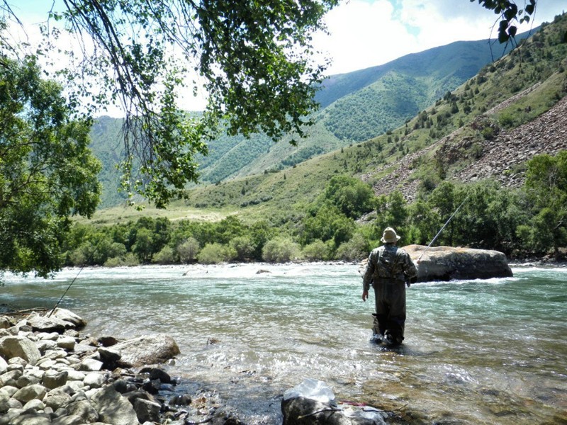 Форелевая рыбалка и отдых на природе: поездка из Бишкека – индивидуальная экскурсия
