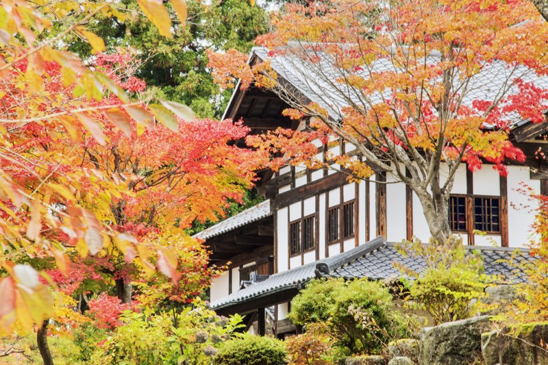 Канадзава: путешествие в прошлое через сады и замки! – индивидуальная экскурсия