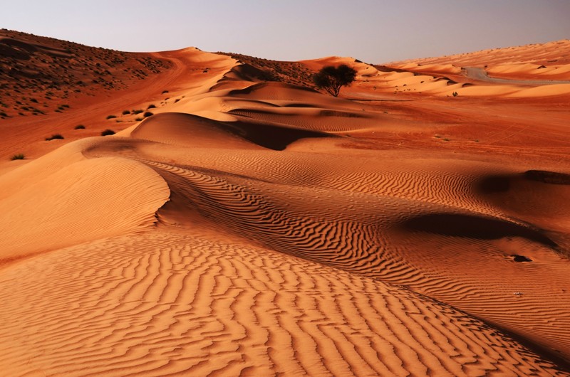 Поездка на джипе по пустыне Вахиба – индивидуальная экскурсия