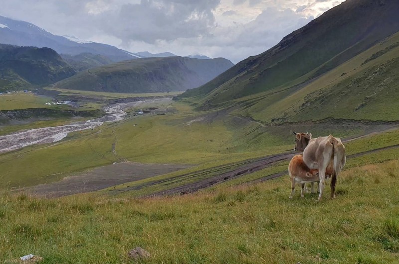 Автотур: вокруг Эльбруса по бездорожью – авторский тур