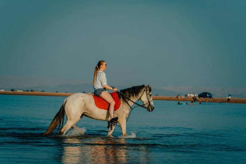 Восточные скачки: катание на лошадях и верблюдах в Хургаде (мини-группа) – групповая экскурсия