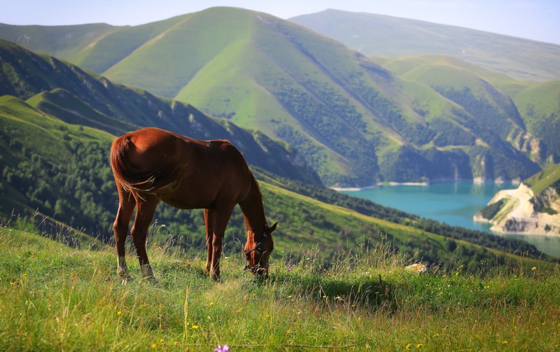 Грани Кавказа: 5 республик за 10 дней – авторский тур
