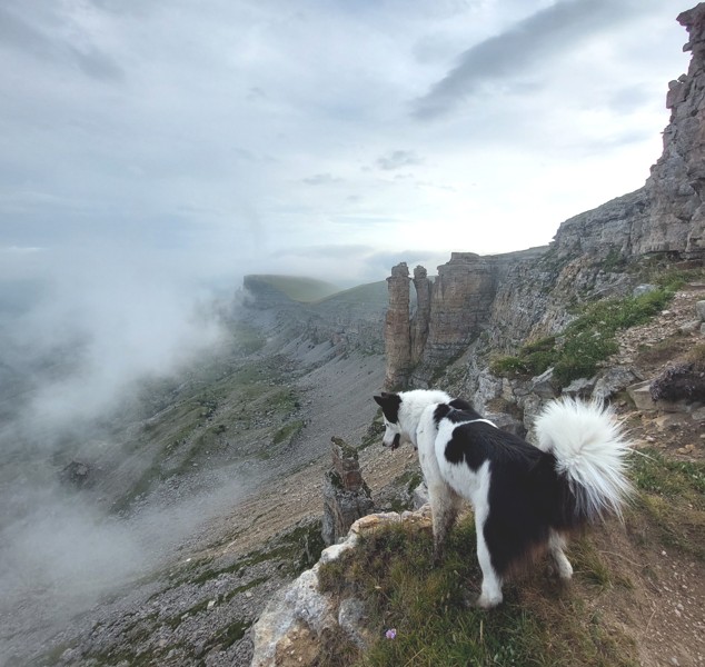 Поездка на плато Бермамыт в компании собаки Панды – индивидуальная экскурсия