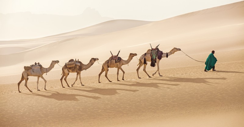 Магические пески и оазисы Сахары – индивидуальная экскурсия