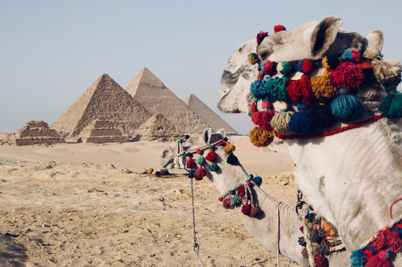 Чарующие пирамиды Гизы и красоты Каира – индивидуальная экскурсия
