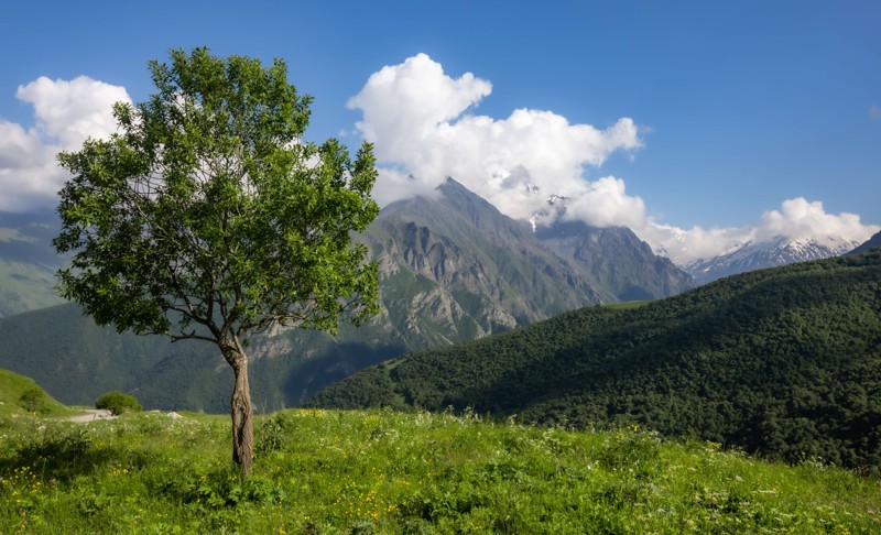 На джипах по заповедным местам Северной Осетии – авторский тур
