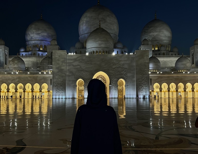 Золотой город: весь Абу-Даби за 1 день – индивидуальная экскурсия