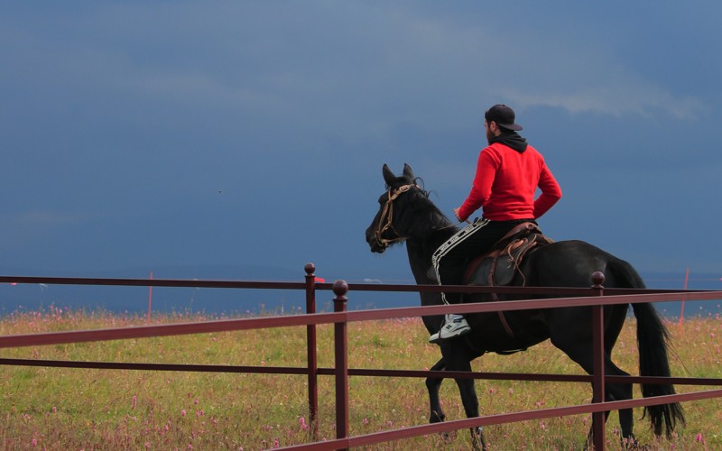 На лошадях по горам Карачаево-Черкесии: выходные с конными прогулками и дегустациями – авторский тур
