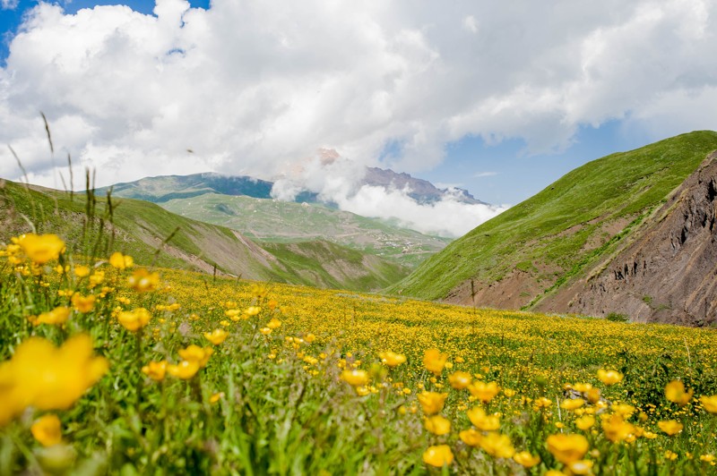 Весенний Дагестан: от Махачкалы до Дербента – авторский тур