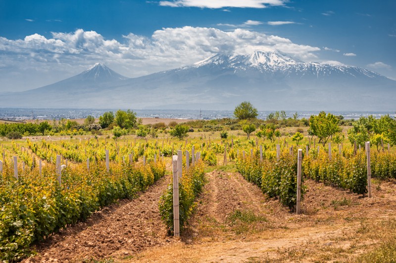 Дегустационный трип в Армению: коньяк, вино и национальная кухня – авторский тур