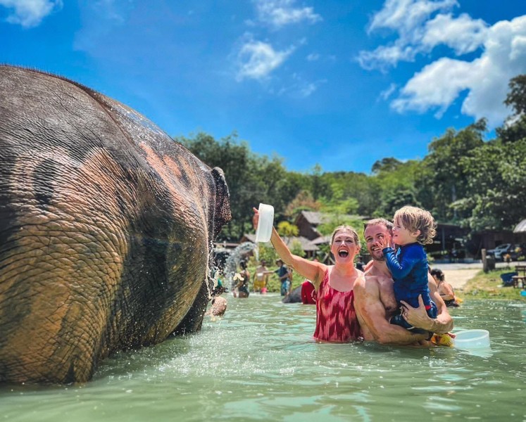 В гости к слонам – групповая экскурсия