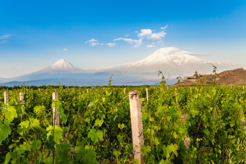 Путешествие по винным погребам Армении – индивидуальная экскурсия