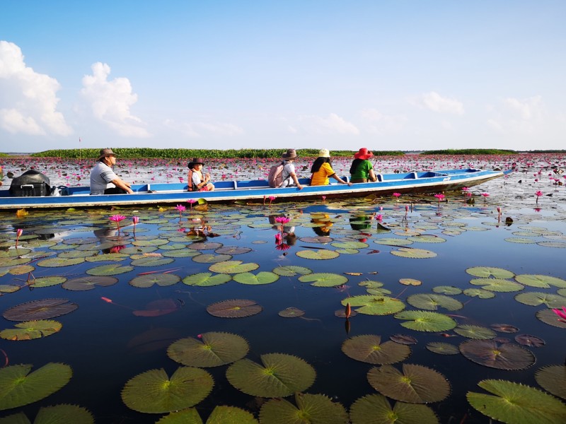 Озеро лотосов и перелётных птиц – индивидуальная экскурсия