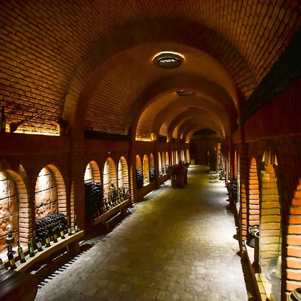 Крепости Кахетии и самый большой в мире винный туннель – индивидуальная экскурсия