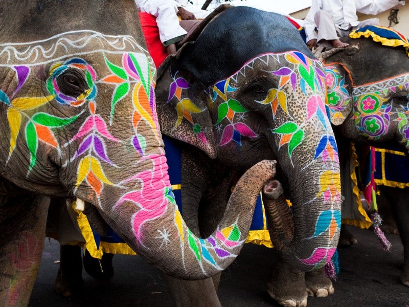 Рукодельный тур в Индию: мастер-классы по вышивке и рисование на слонах – авторский тур