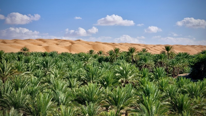Вади Хавир и пустыня Рамлат-эль-Вахиба — активный день в Омане – индивидуальная экскурсия
